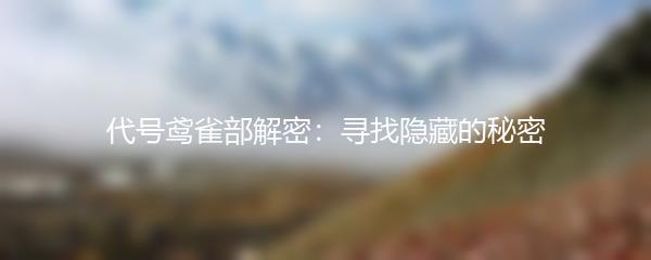 代号鸢雀部解密：寻找隐藏的秘密