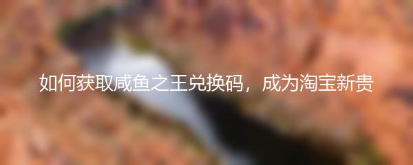 如何获取咸鱼之王兑换码，成为淘宝新贵