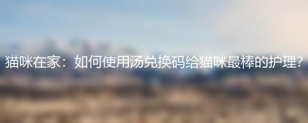 猫咪在家：如何使用汤兑换码给猫咪最棒的护理？