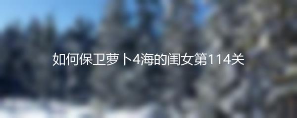如何保卫萝卜4海的闺女第114关