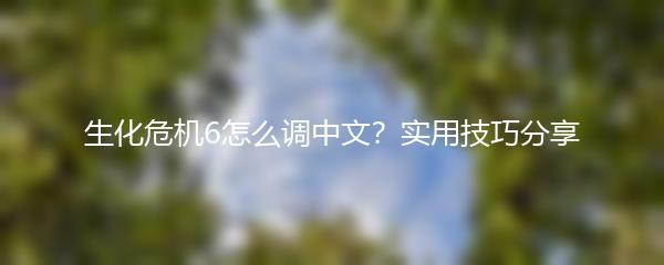 生化危机6怎么调中文？实用技巧分享