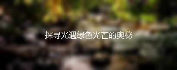 探寻光遇绿色光芒的奥秘