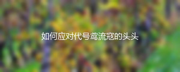 如何应对代号鸢流寇的头头