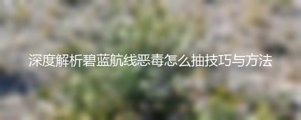 深度解析碧蓝航线恶毒怎么抽技巧与方法