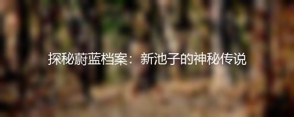 探秘蔚蓝档案：新池子的神秘传说
