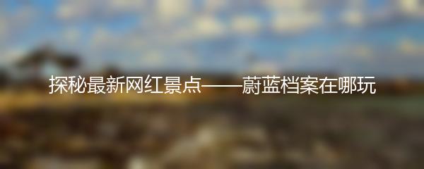 探秘最新网红景点——蔚蓝档案在哪玩