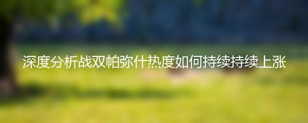 深度分析战双帕弥什热度如何持续持续上涨