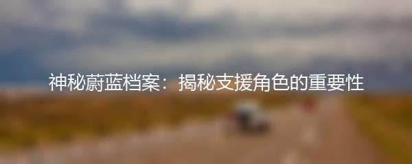 神秘蔚蓝档案：揭秘支援角色的重要性