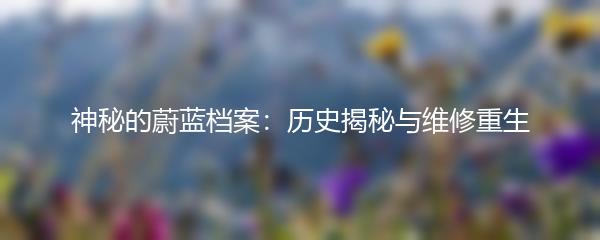 神秘的蔚蓝档案：历史揭秘与维修重生