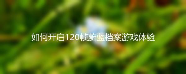 如何开启120帧蔚蓝档案游戏体验