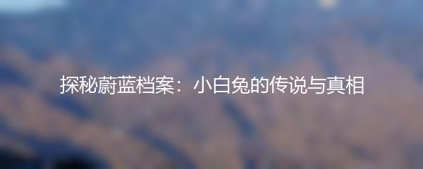 探秘蔚蓝档案：小白兔的传说与真相