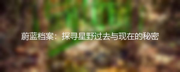 蔚蓝档案：探寻星野过去与现在的秘密