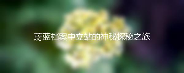 蔚蓝档案中立站的神秘探秘之旅