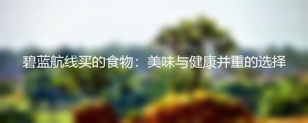 碧蓝航线买的食物：美味与健康并重的选择