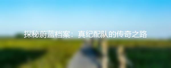 探秘蔚蓝档案：真纪配队的传奇之路