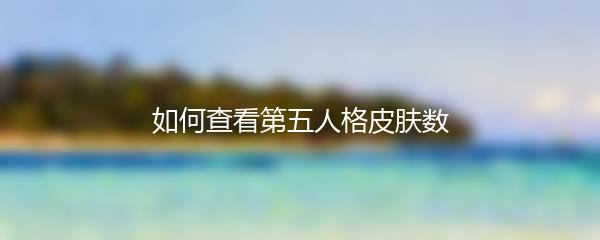 如何查看第五人格皮肤数