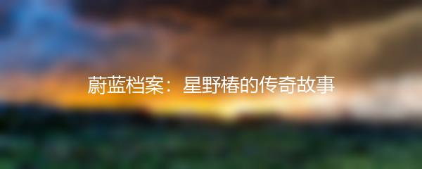 蔚蓝档案：星野椿的传奇故事