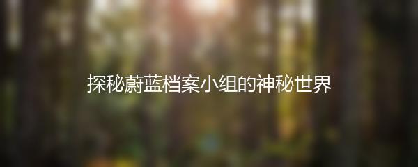 探秘蔚蓝档案小组的神秘世界