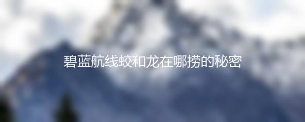 碧蓝航线蛟和龙在哪捞的秘密