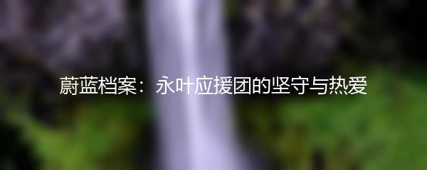 蔚蓝档案：永叶应援团的坚守与热爱