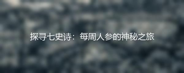 探寻七史诗：每周人参的神秘之旅