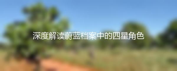 深度解读蔚蓝档案中的四星角色