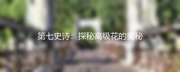 第七史诗：探秘高级花的奥秘