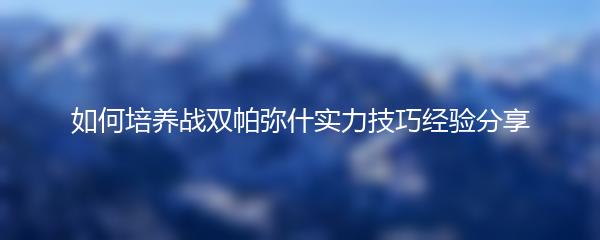 如何培养战双帕弥什实力技巧经验分享