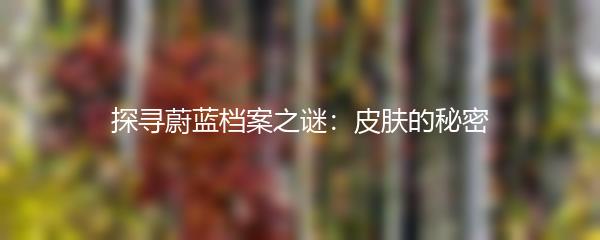 探寻蔚蓝档案之谜：皮肤的秘密