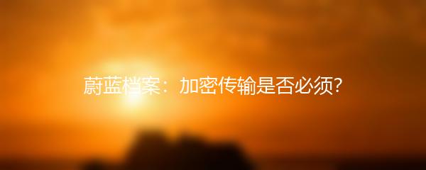 蔚蓝档案：加密传输是否必须？