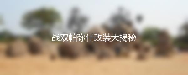 战双帕弥什改装大揭秘