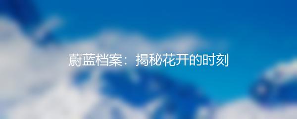 蔚蓝档案：揭秘花开的时刻