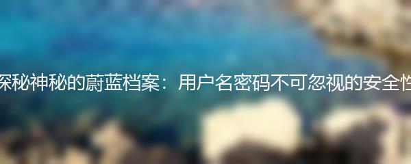 探秘神秘的蔚蓝档案：用户名密码不可忽视的安全性