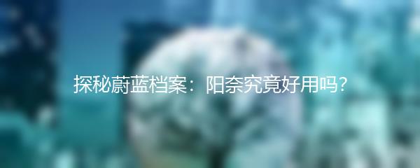 探秘蔚蓝档案：阳奈究竟好用吗？