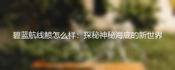 碧蓝航线鲼怎么样：探秘神秘海底的新世界