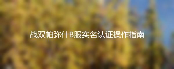 战双帕弥什B服实名认证操作指南