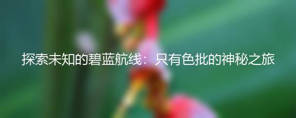 探索未知的碧蓝航线：只有色批的神秘之旅
