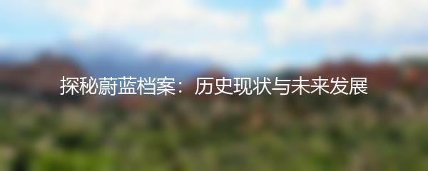 探秘蔚蓝档案：历史现状与未来发展