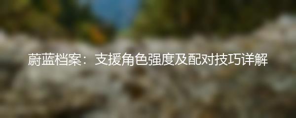 蔚蓝档案：支援角色强度及配对技巧详解