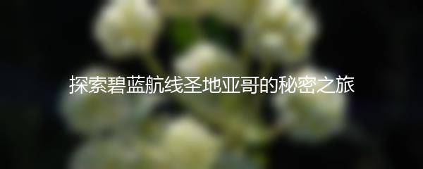 探索碧蓝航线圣地亚哥的秘密之旅