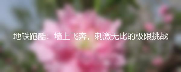 地铁跑酷：墙上飞奔，刺激无比的极限挑战