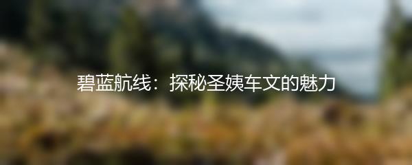 碧蓝航线：探秘圣姨车文的魅力