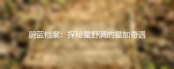 蔚蓝档案：探秘星野满的星加奇遇