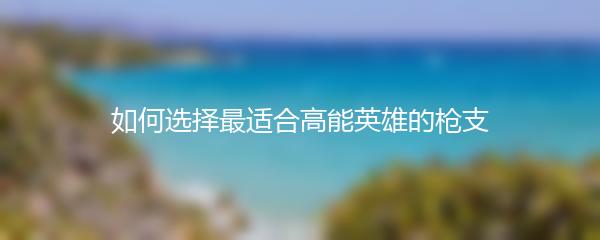 如何选择最适合高能英雄的枪支