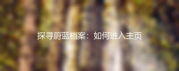 探寻蔚蓝档案：如何进入主页