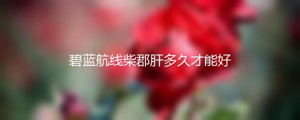 碧蓝航线柴郡肝多久才能好