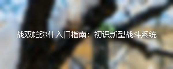 战双帕弥什入门指南：初识新型战斗系统