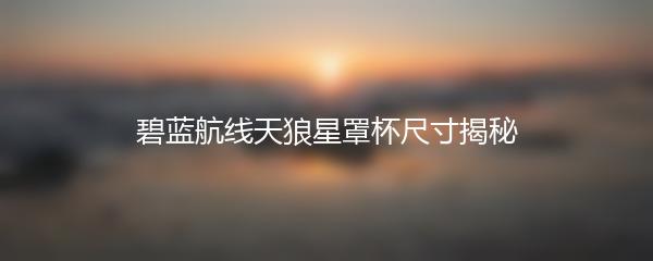 碧蓝航线天狼星罩杯尺寸揭秘