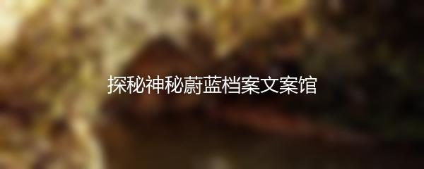 探秘神秘蔚蓝档案文案馆