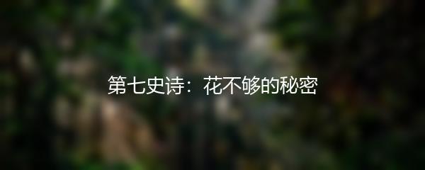 第七史诗：花不够的秘密
